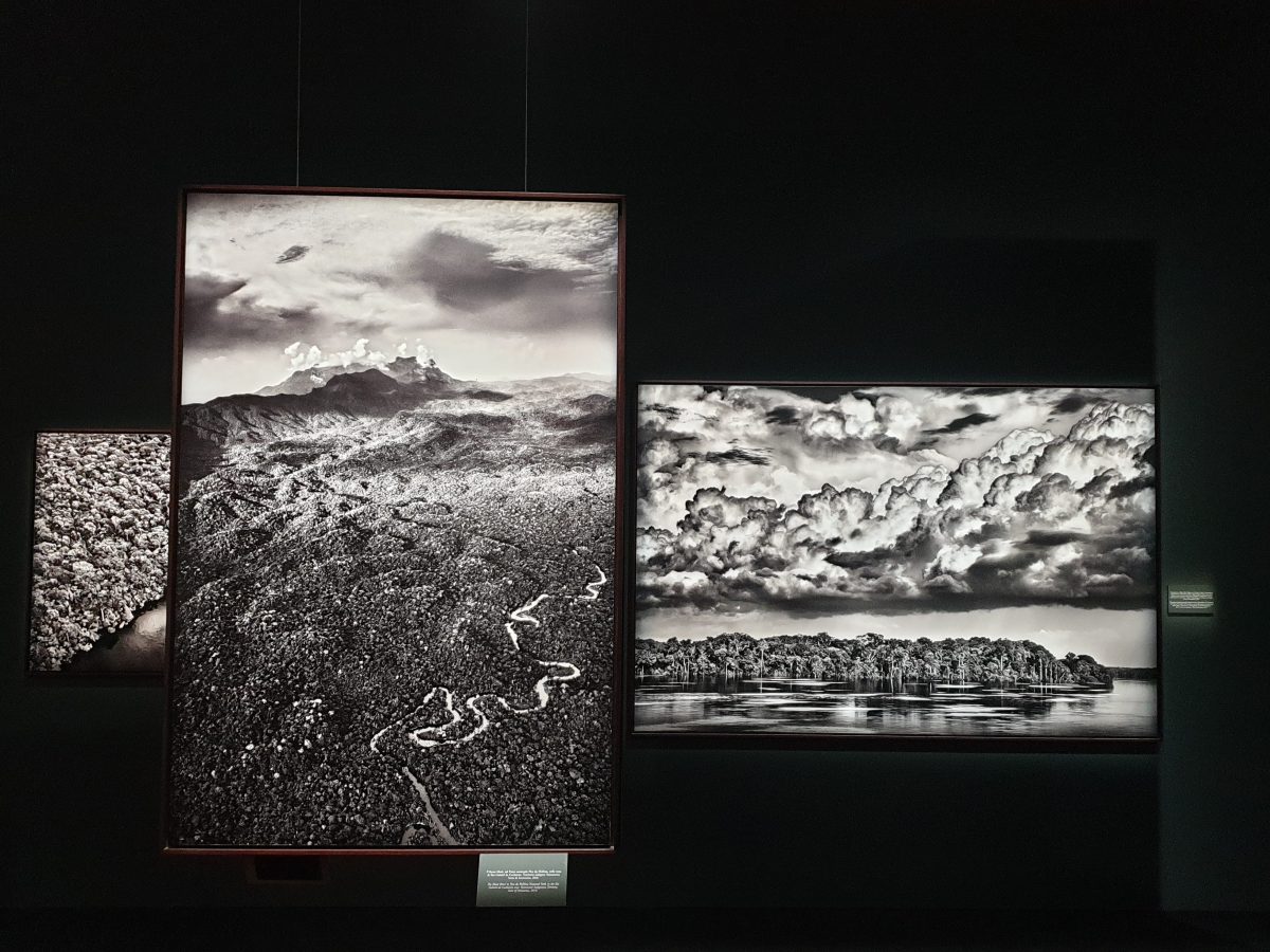 Sebastião Salgado –&nbsp;Amazonia