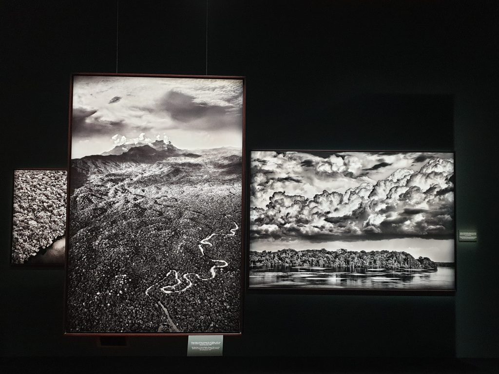 Sebastião Salgado –&nbsp;Amazonia