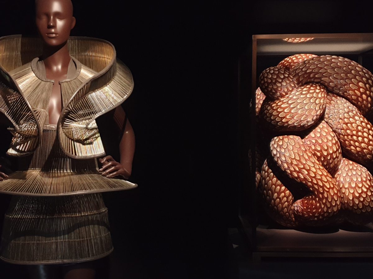 Iris Van Harpen – Sculpting the&nbsp;Senses