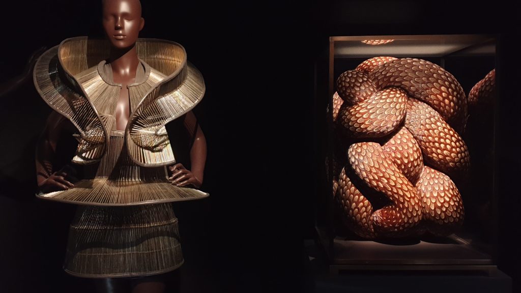 Iris Van Harpen – Sculpting the Senses